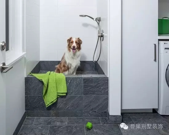 宠物沐浴房装饰2图片
