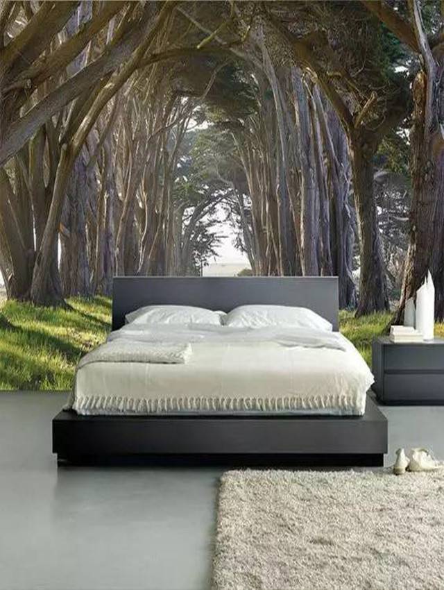 16.jpg 背景墙15装饰风格效果图