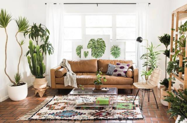 640 (17).jpg 640 (17).jpg