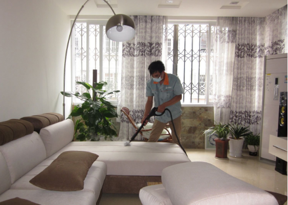 客厅植物装饰效果图