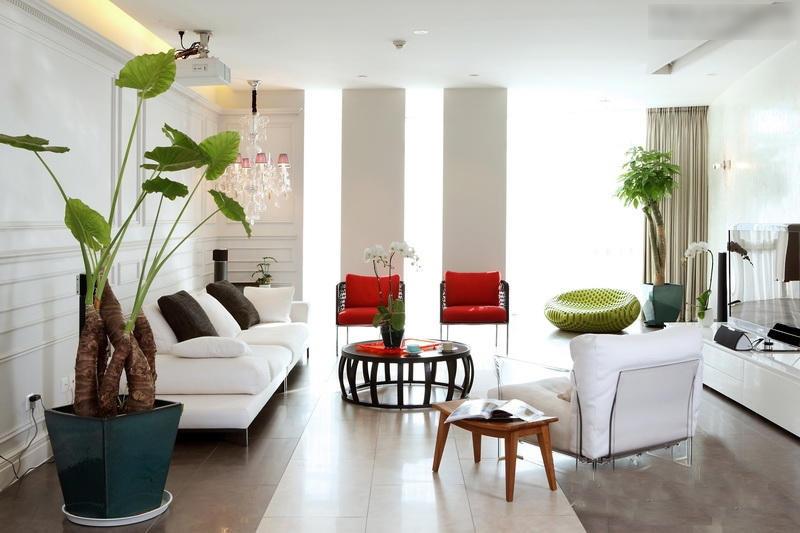 室内植物装饰 室内植物装饰